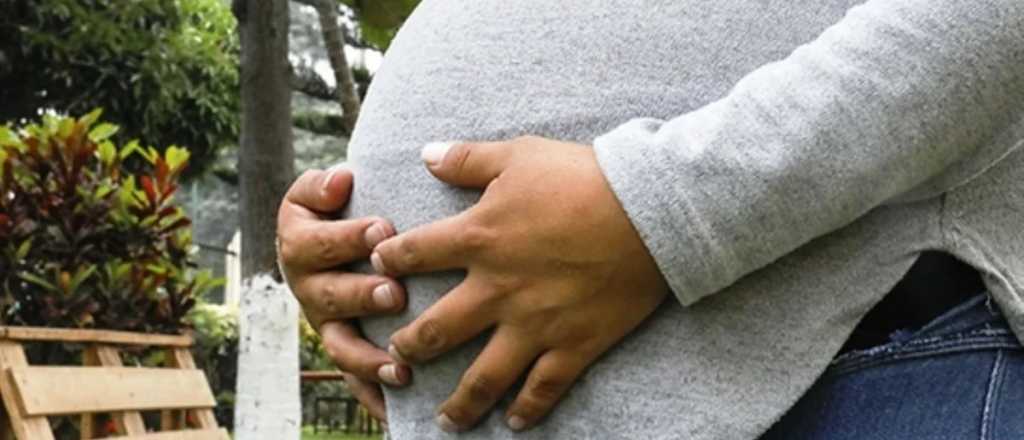 Una mujer está embarazada de 13 bebés y su marido pide ayuda