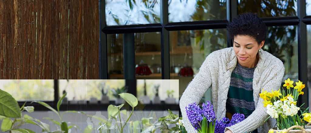 Las mejores 3 plantas acuáticas para usar de centro de mesa