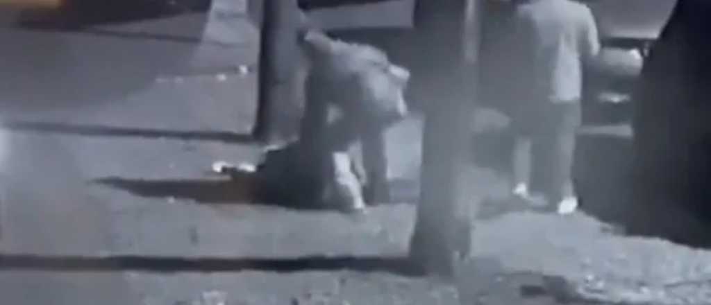 Video: una mujer fue golpeada y asaltada cuando paseaba a su perro