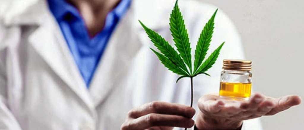 La Corte habilitó al Estado a cultivar cannabis medicinal