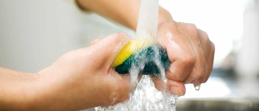 Tips para limpiar tus esponjas