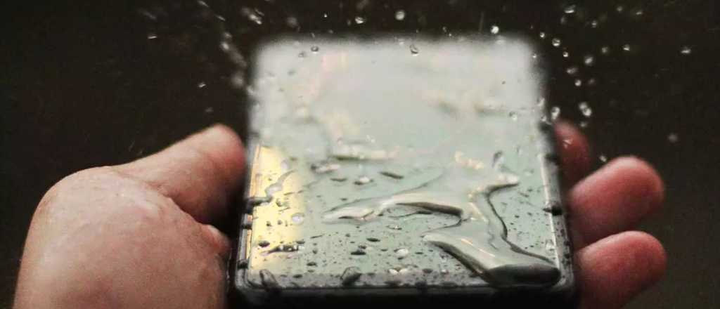 Paso a paso: ¿Qué hacer si tu celular se moja?