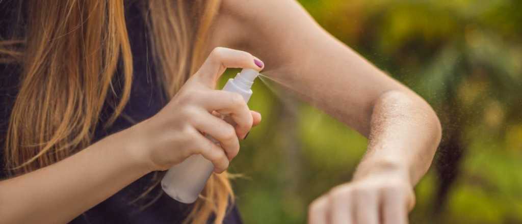 Repelentes naturales: con estas plantas podés ahuyentar a los mosquitos