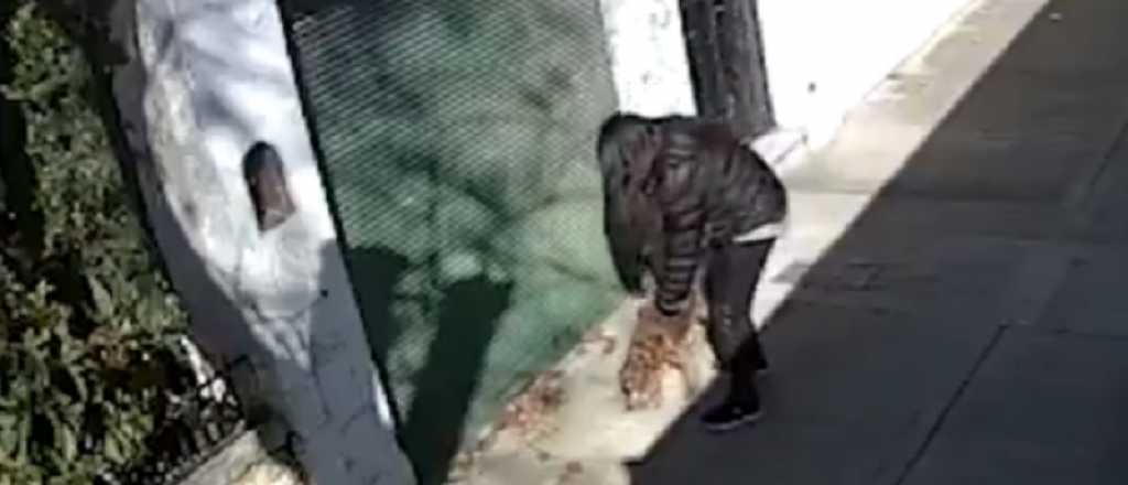 Video: una mujer abandona a un perro ciego
