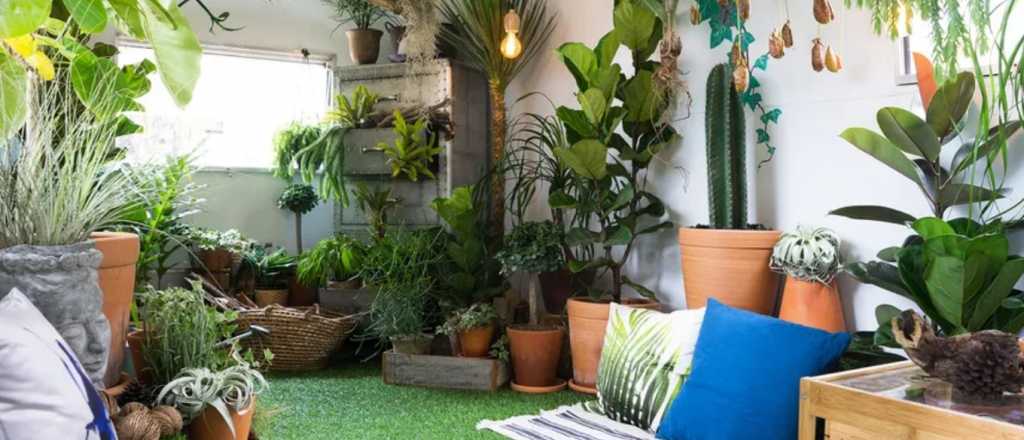Tips: lo que hay tener en cuenta para crear un jardín de interior