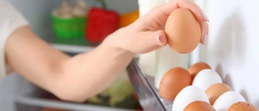 Cómo utilizar cáscaras de huevo para mejorar tus plantas