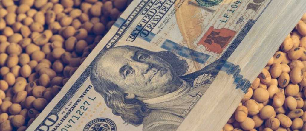 Dólar Soja: venta récord del grano en el primer día de la medida 