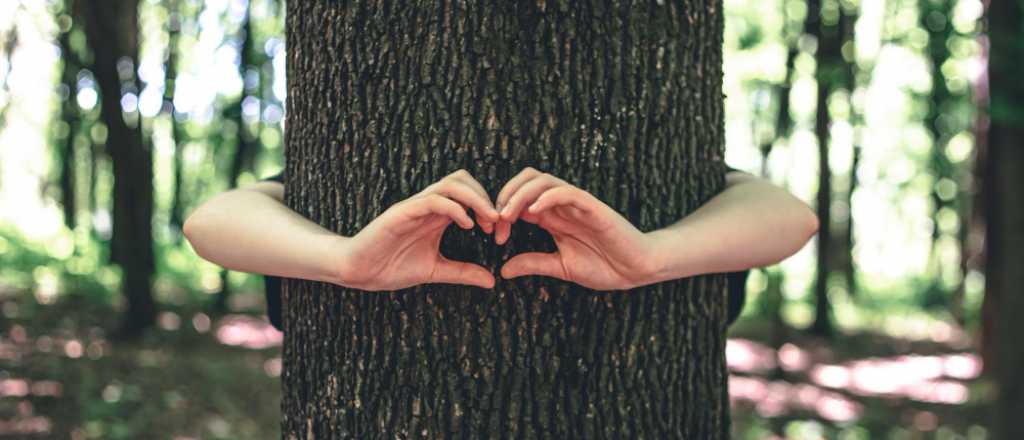 As&iacute; es la primera diplomatura virtual en Comunicaci&oacute;n y Marketing Verde 