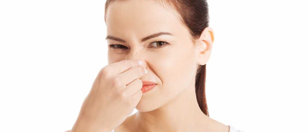 El truco definitivo para eliminar el olor a encierro de tu casa 