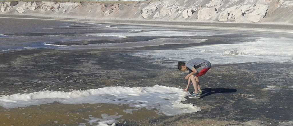 La laguna que se seca en Malargüe y a nadie le importa