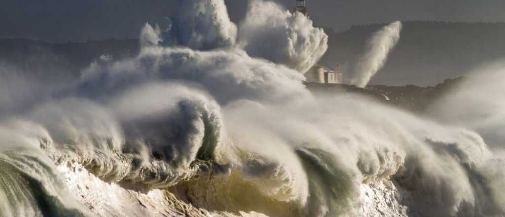 Estas son las mejores fotos de NatGeo 2015