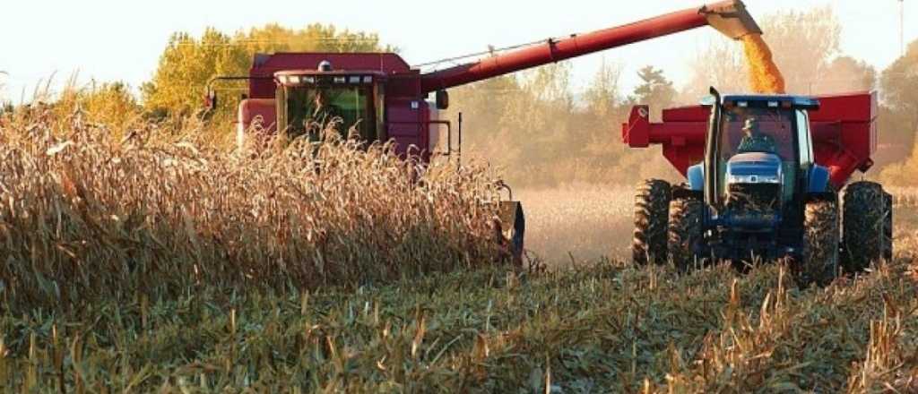 Ocho de cada diez productores cree que la economía estará peor