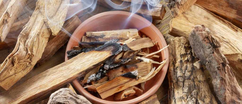 Para qu&eacute; sirve el palo santo y c&oacute;mo usarlo
