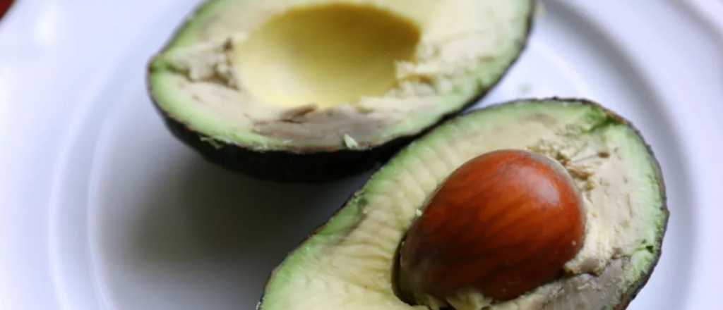 Palta oxidada: c&oacute;mo guardarla para que no se ponga negra