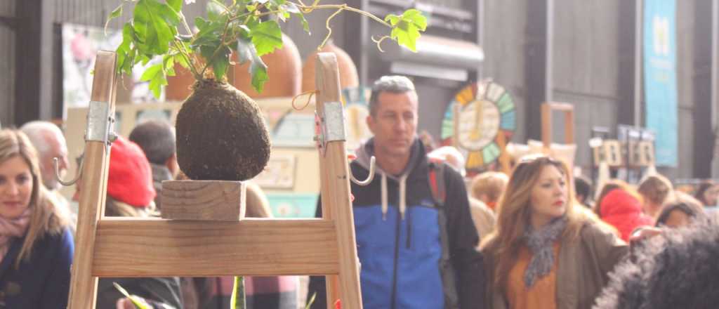 Con una edici&oacute;n especial para ni&ntilde;os, Flor de Feria vuelve a La Nave Cultural