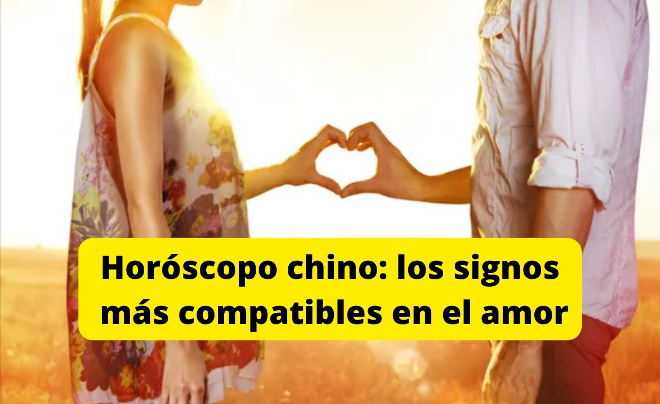 Los signos más compatibles en el amor según el horóscopo chino - Mendoza  Post