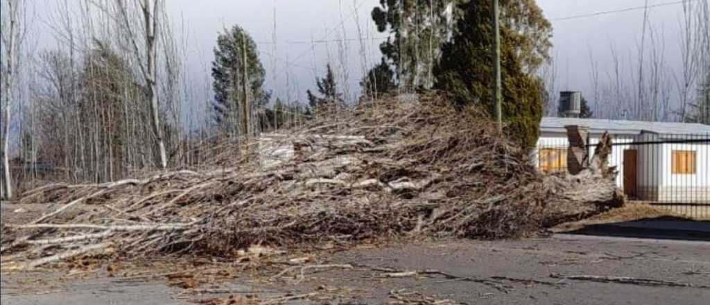 Estos son los destrozos que causó el Zonda en Mendoza