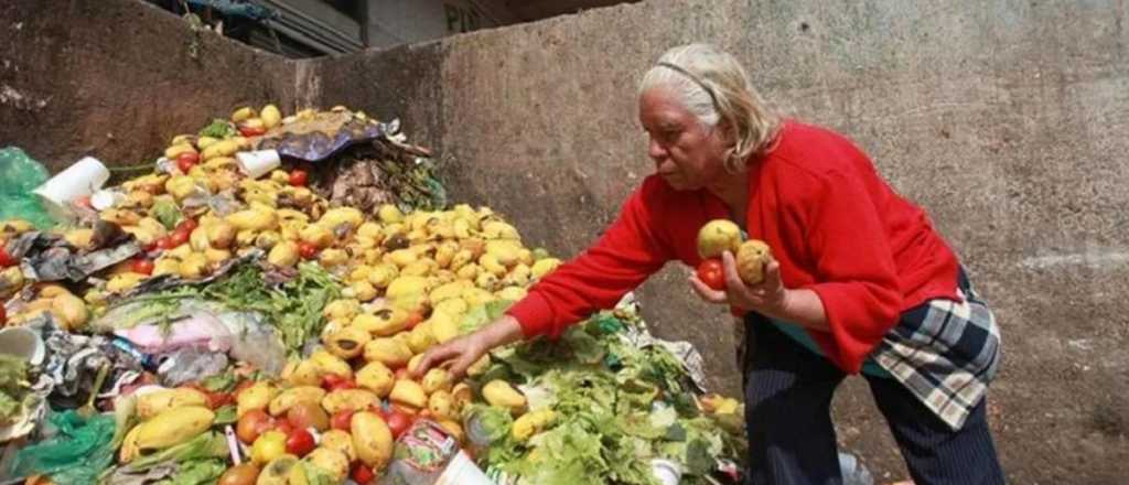 Según Coninagro más de la mitad de las frutas y verduras se tira