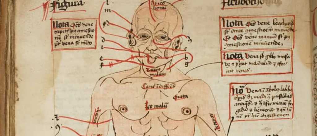 Los extraños remedios que se usaban en la Edad Media