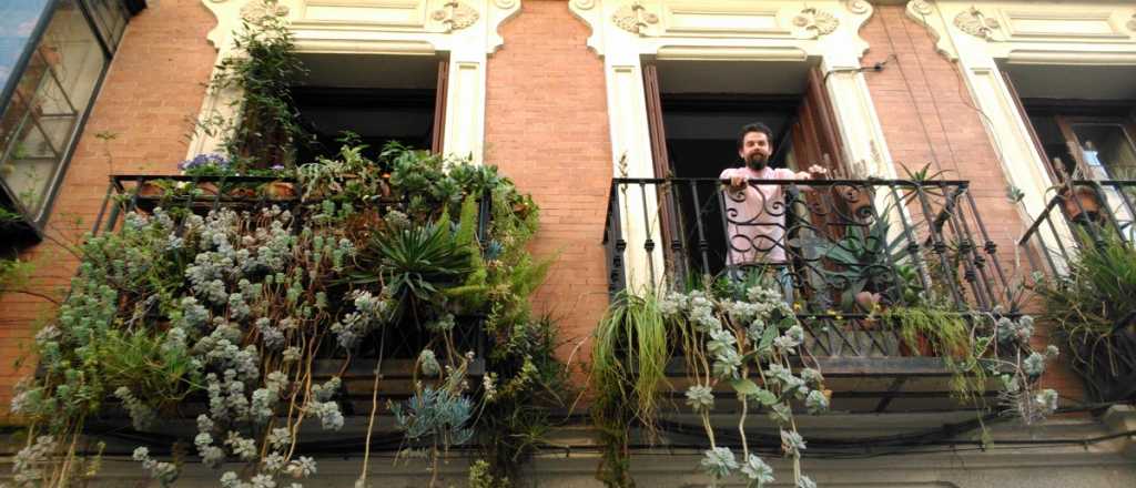 Estas son las plantas colgantes que tenés que tener sí o sí en tu balcón