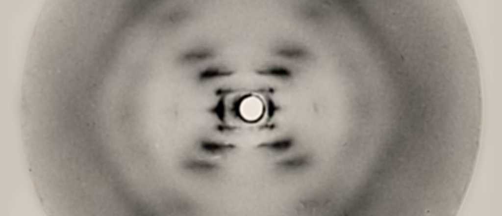 El misterio detr&aacute;s de la famosa Fotograf&iacute;a �51