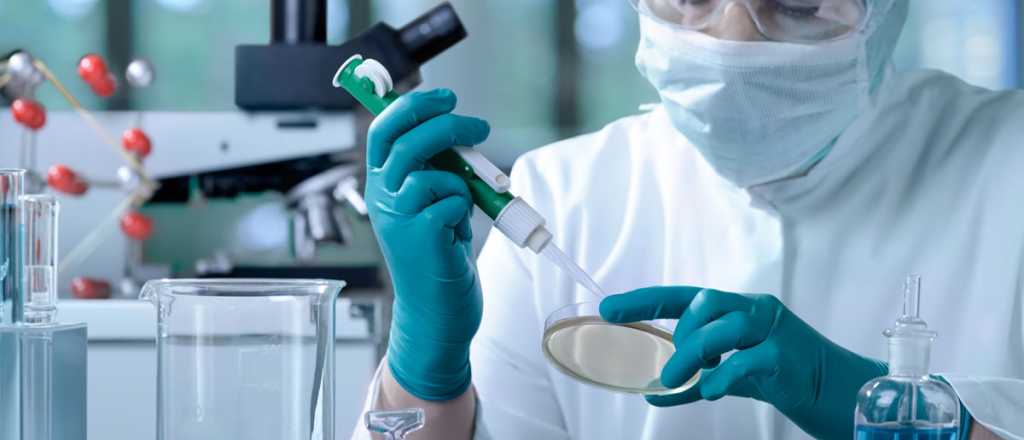 Desarrollan un adhesivo que permite trepar por las paredes