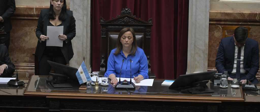 Video: Cecilia Moreau y Javier Milei se chicanearon en la sesi&oacute;n