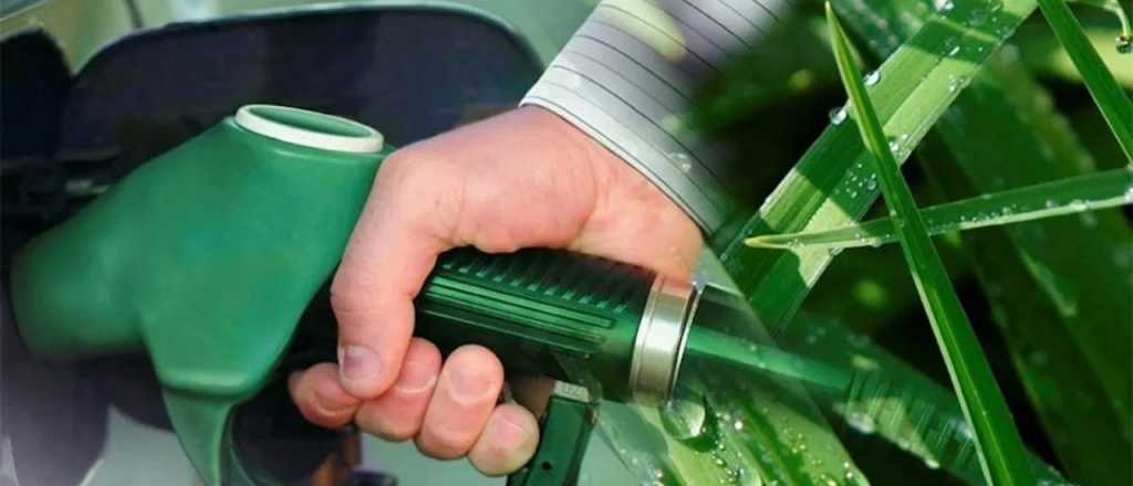 Autorizan aumentos para el biodiesel y el bioetanol