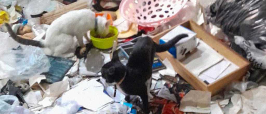 Un basural, gatos y olores nauseabundos: as&iacute; viv&iacute;a el atacante de Cristina