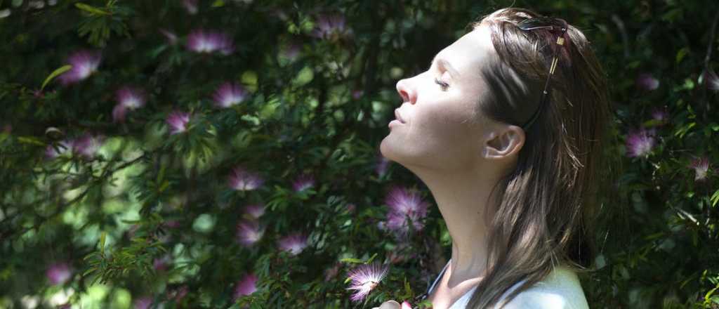 Consejos de un jardinero para cuidar las gardenias