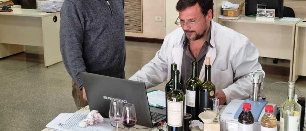 Incautaron 1.900 botellas de vino "truchas" listas para ser exportadas