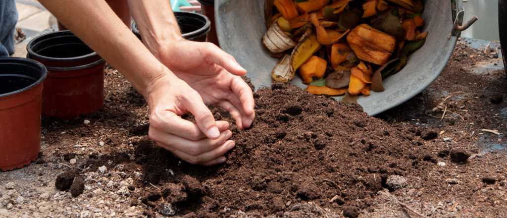 Este abono casero dejar&aacute; tu jard&iacute;n mejor que nunca