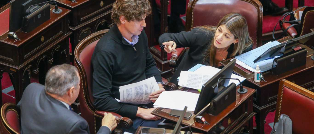 La oposici&oacute;n repudi&oacute; la media sanci&oacute;n en el Senado por la reforma de la Corte