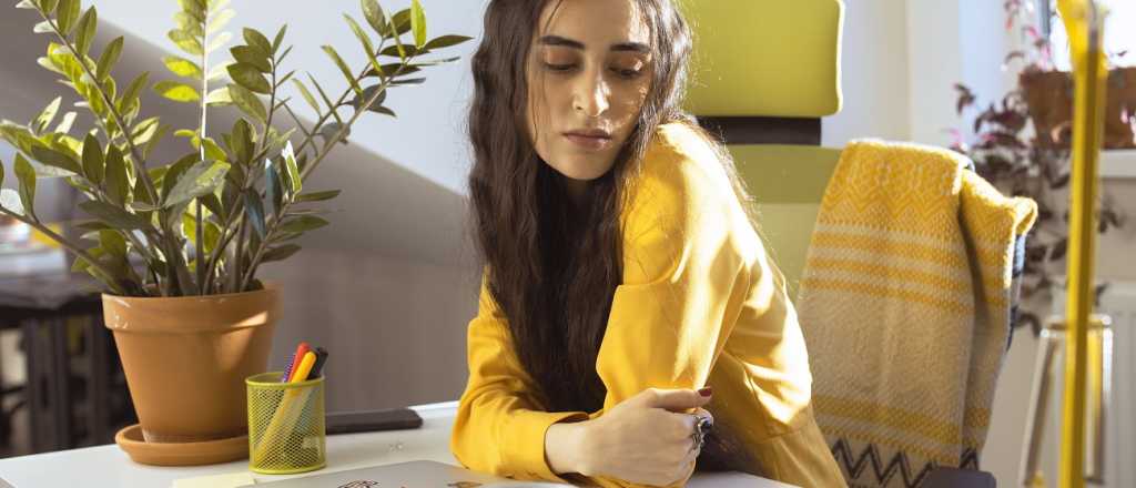 Las 10 plantas de interior m&aacute;s f&aacute;ciles de cuidar