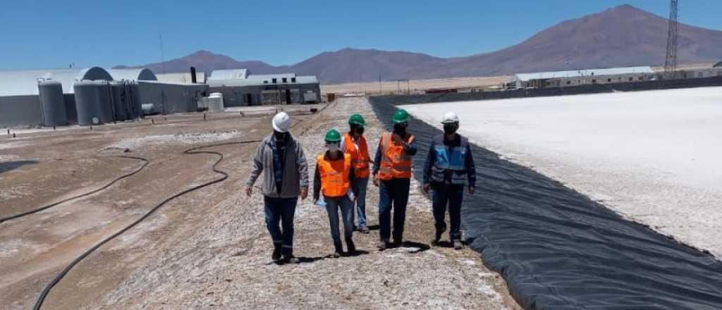 Una minera planea extraer litio del proyecto Rincón antes de fin de año