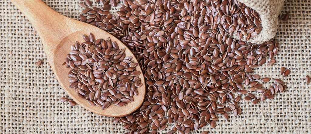 Los grandiosos beneficios de la linaza para tu salud y belleza