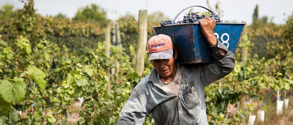 Condicionada, la vitivinicultura cierra acuerdo para el Fondo Anticíclico