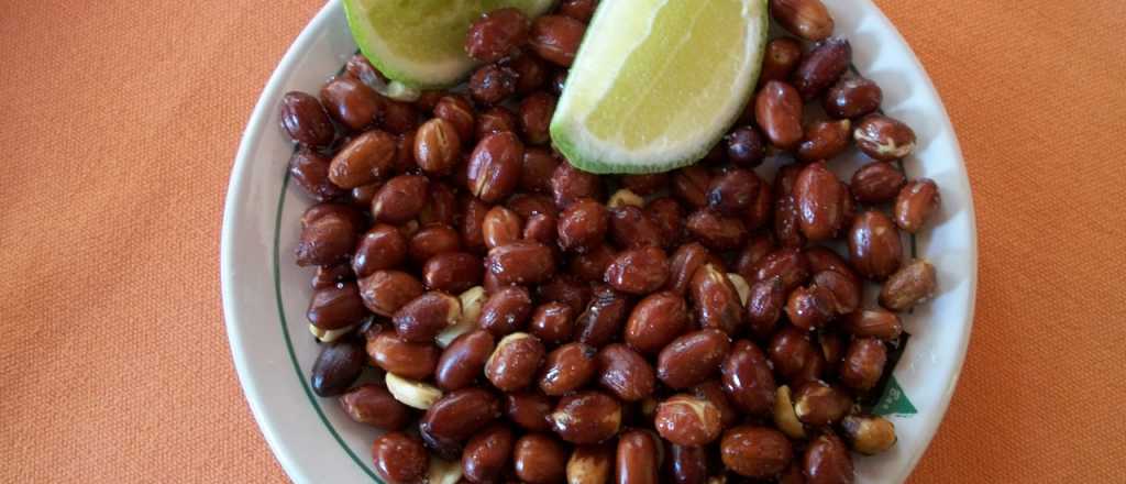 Descubren que la cáscara del maní neutraliza al virus del Dengue