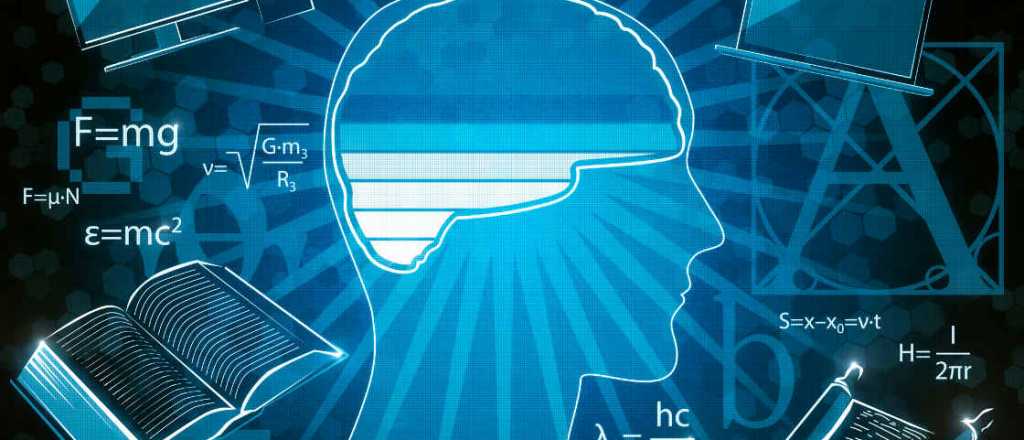 &iquest;Qu&eacute; cantidad de informaci&oacute;n puede guardar el cerebro?