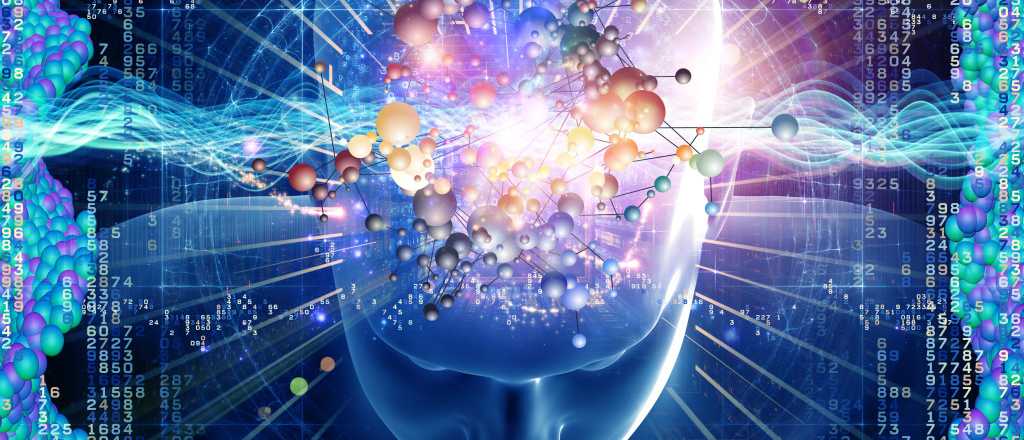 ¿Cuánto usamos de nuestro cerebro?