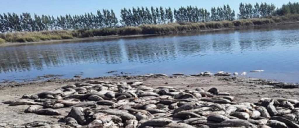 Anabel reclamó por la Ley de Humedales y mostró una laguna seca de Lavalle