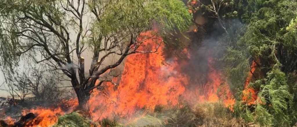 San Rafael: afirman que el incendio en Valle Grande fue controlado