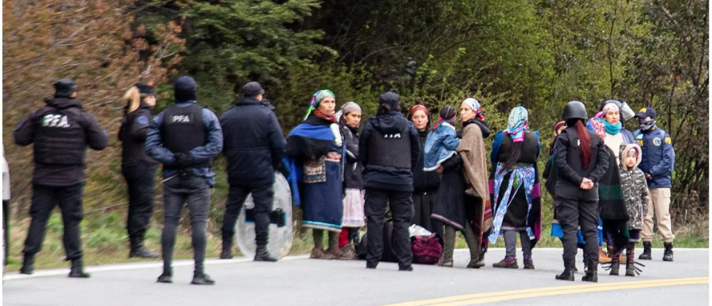 Gómez Alcorta hizo oficial su renuncia en repudio por las mapuches detenidas