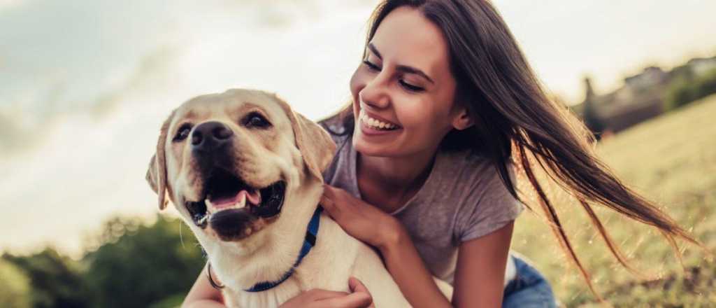 Las 7 señales para saber si tu perro es feliz  