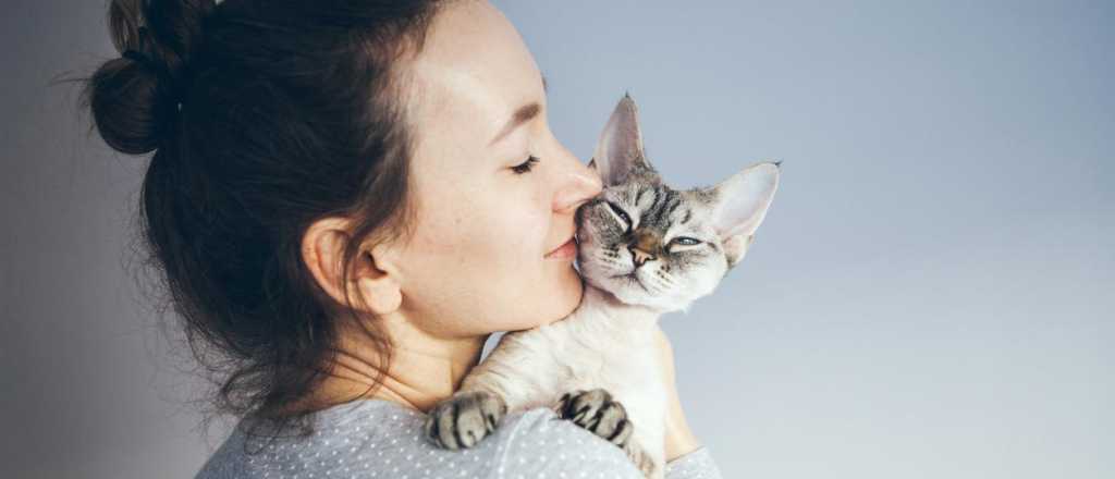 Cómo saber si tu gato te quiere