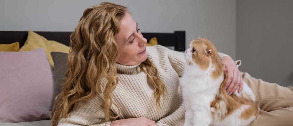 C&oacute;mo ganarse el cari&ntilde;o de un gato