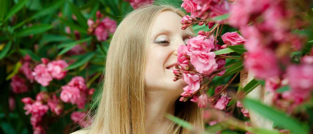 C&oacute;mo mantener sanas las azaleas