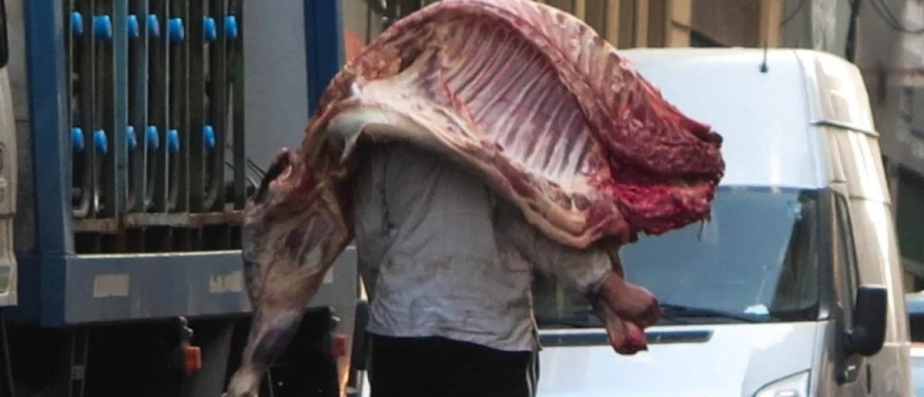 No se puede vender media res y frigor&iacute;ficos piden tiempo para adecuarse