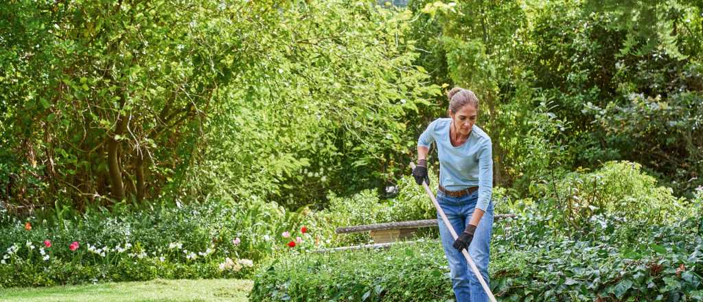 Cinco errores que hacen que tu césped no cubra el jardín como una alfombra