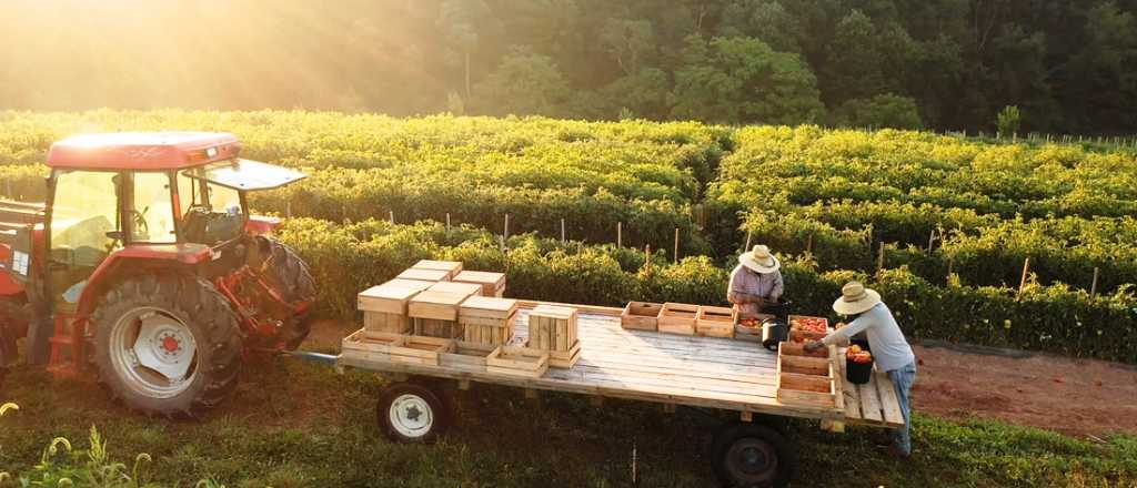 Unilever muestra su deshidratadora m&aacute;s grande, ubicada en Mendoza